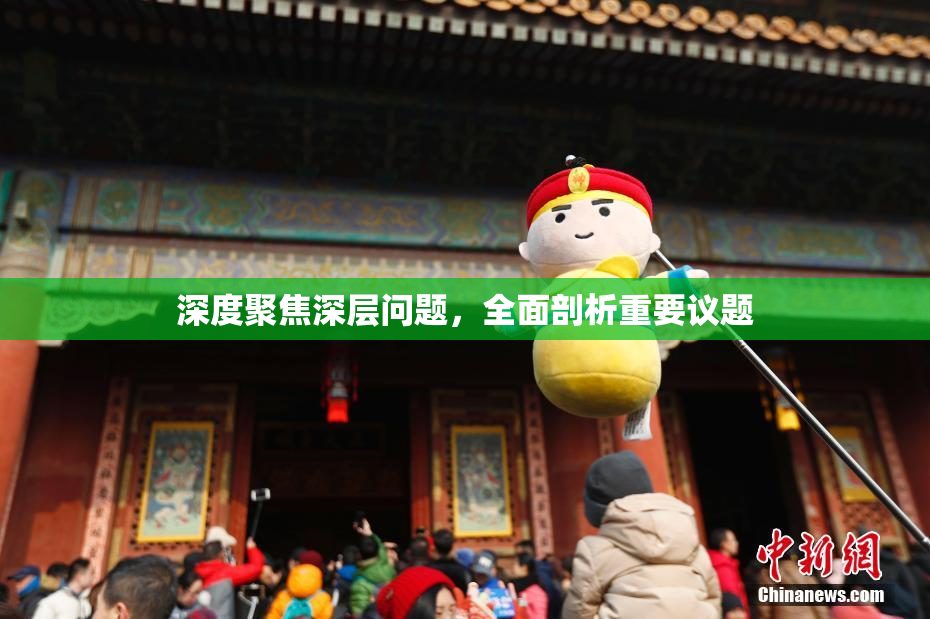 深度聚焦深层问题，全面剖析重要议题