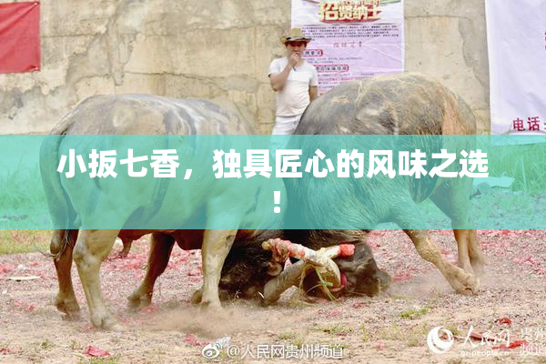 小扳七香，独具匠心的风味之选！