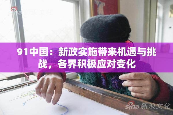 91中国：新政实施带来机遇与挑战，各界积极应对变化