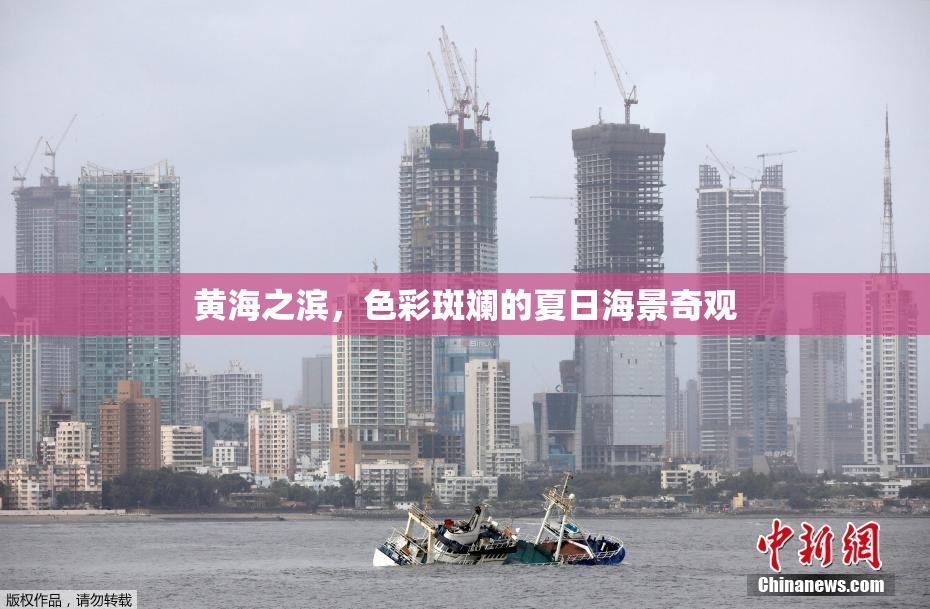 黄海之滨，色彩斑斓的夏日海景奇观