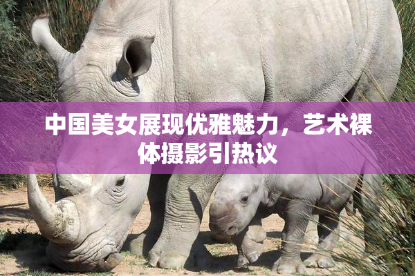 中国美女展现优雅魅力，艺术裸体摄影引热议