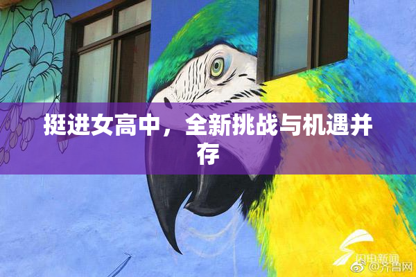 挺进女高中，全新挑战与机遇并存