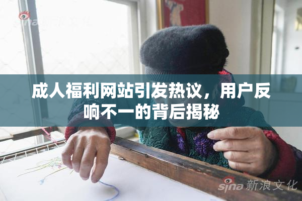 成人福利网站引发热议，用户反响不一的背后揭秘