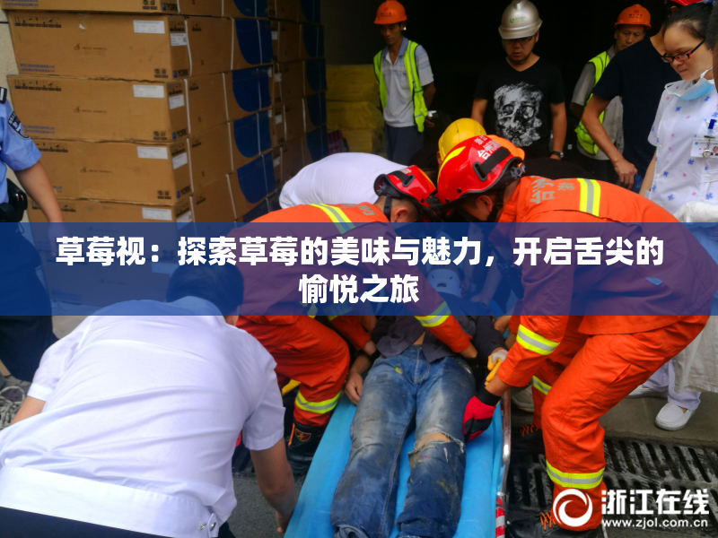 草莓视：探索草莓的美味与魅力，开启舌尖的愉悦之旅