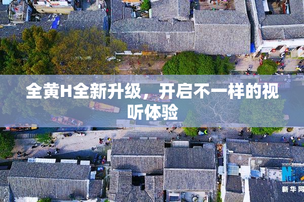 全黄H全新升级，开启不一样的视听体验