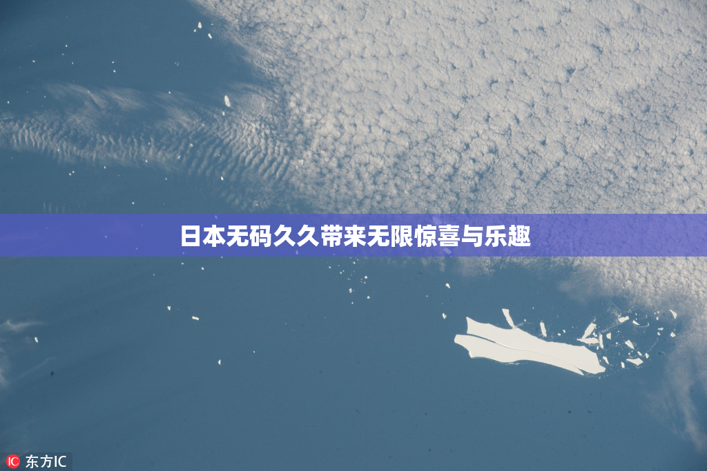 日本无码久久带来无限惊喜与乐趣