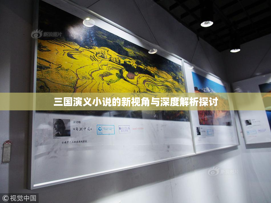 三国演义小说的新视角与深度解析探讨
