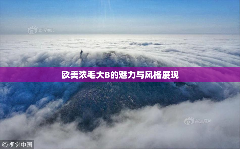 欧美浓毛大B的魅力与风格展现
