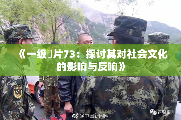 《一级婬片73：探讨其对社会文化的影响与反响》