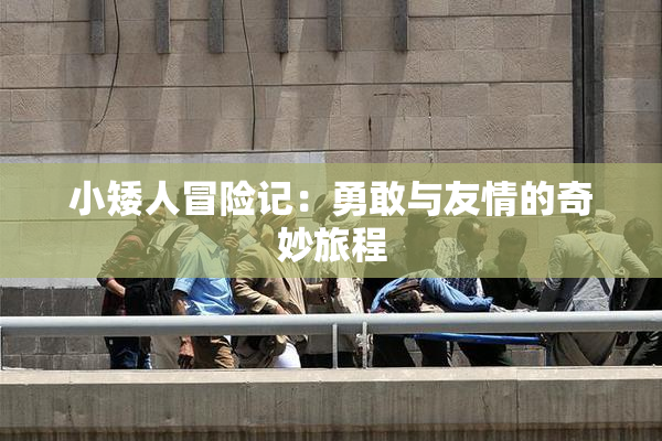 小矮人冒险记：勇敢与友情的奇妙旅程