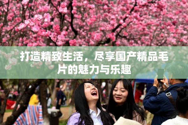 打造精致生活，尽享国产精品毛片的魅力与乐趣