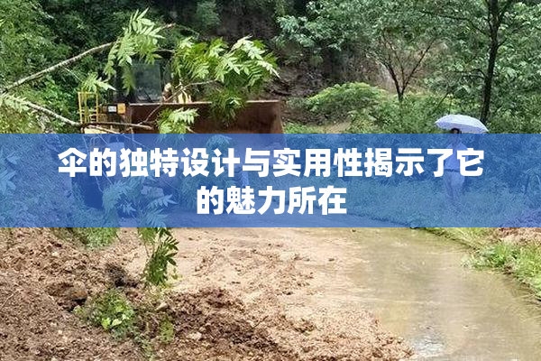 伞的独特设计与实用性揭示了它的魅力所在