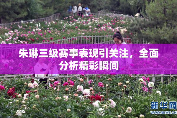 朱琳三级赛事表现引关注，全面分析精彩瞬间