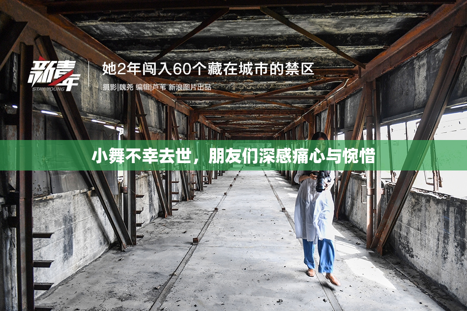 小舞不幸去世，朋友们深感痛心与惋惜