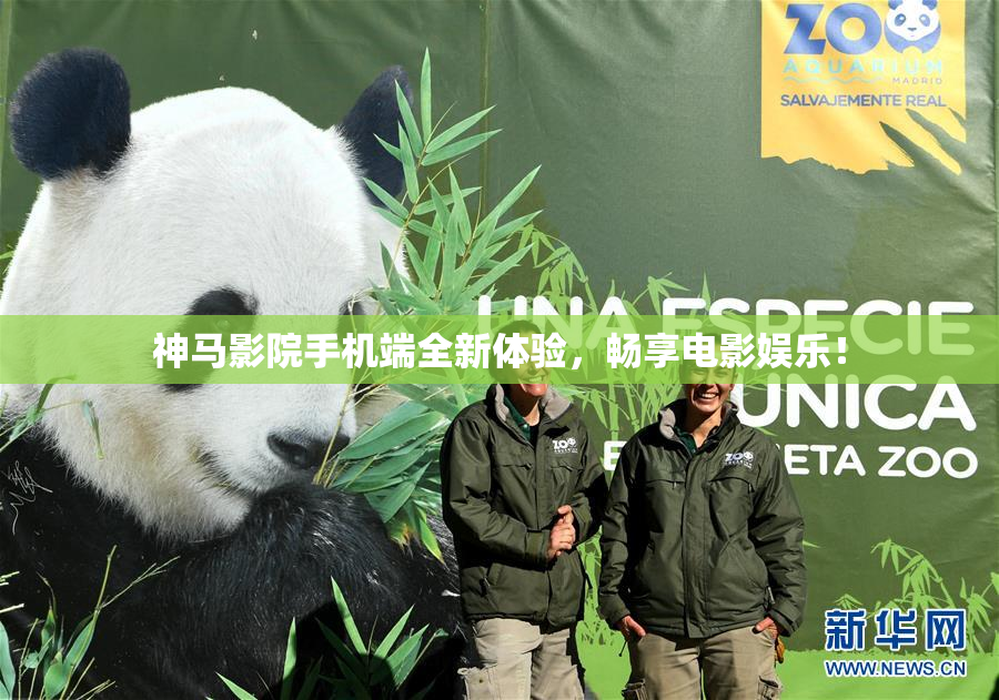 神马影院手机端全新体验，畅享电影娱乐！