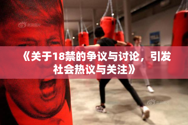 《关于18禁的争议与讨论，引发社会热议与关注》