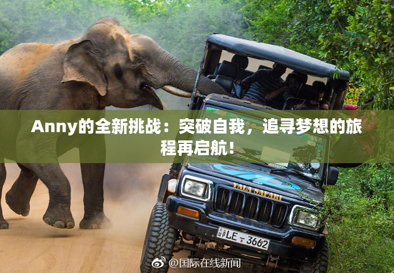 Anny的全新挑战：突破自我，追寻梦想的旅程再启航！