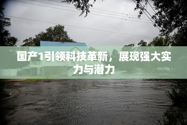 国产1引领科技革新，展现强大实力与潜力