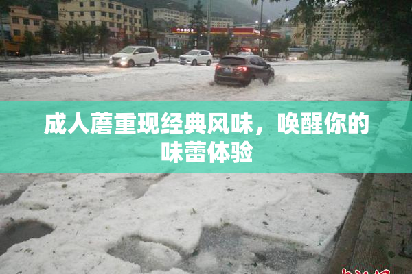 成人蘑重现经典风味，唤醒你的味蕾体验