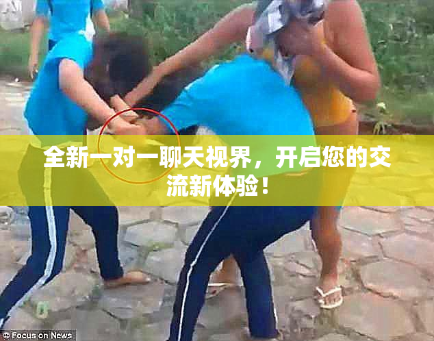 全新一对一聊天视界，开启您的交流新体验！