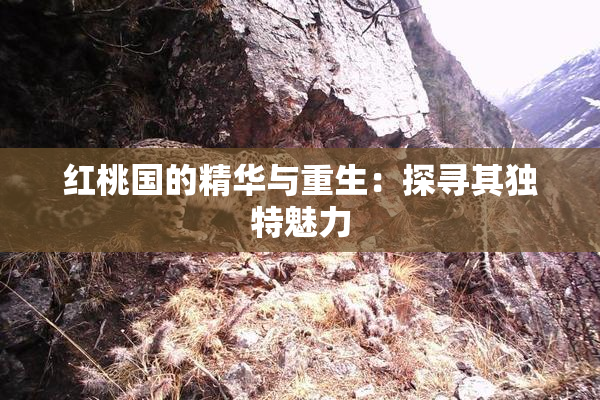 红桃国的精华与重生：探寻其独特魅力