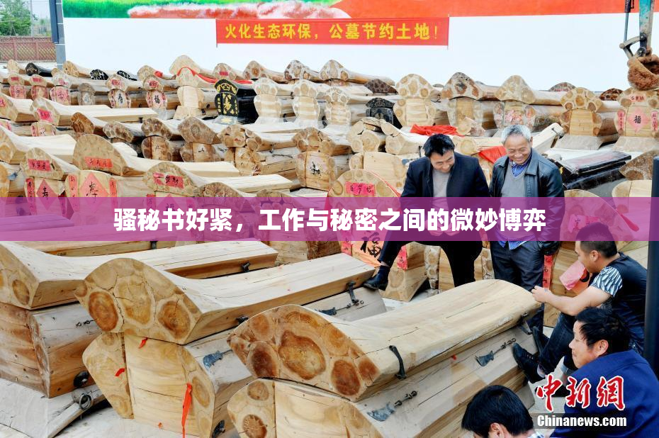 骚秘书好紧，工作与秘密之间的微妙博弈