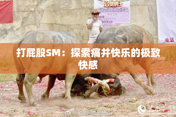 打屁股SM：探索痛并快乐的极致快感