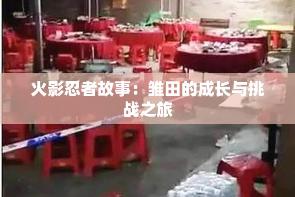 火影忍者故事：雏田的成长与挑战之旅
