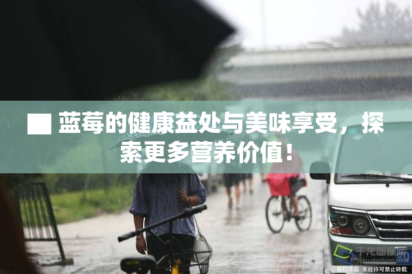 ▇ 蓝莓的健康益处与美味享受，探索更多营养价值！
