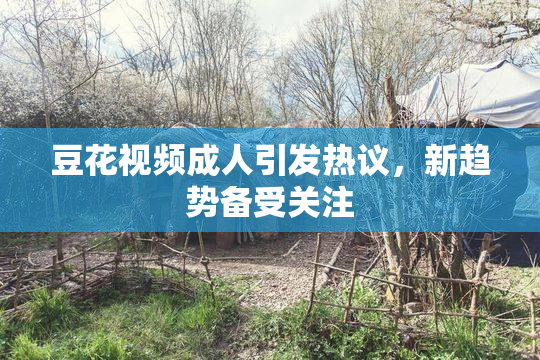 豆花视频成人引发热议，新趋势备受关注