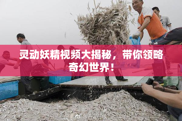 灵动妖精视频大揭秘，带你领略奇幻世界！