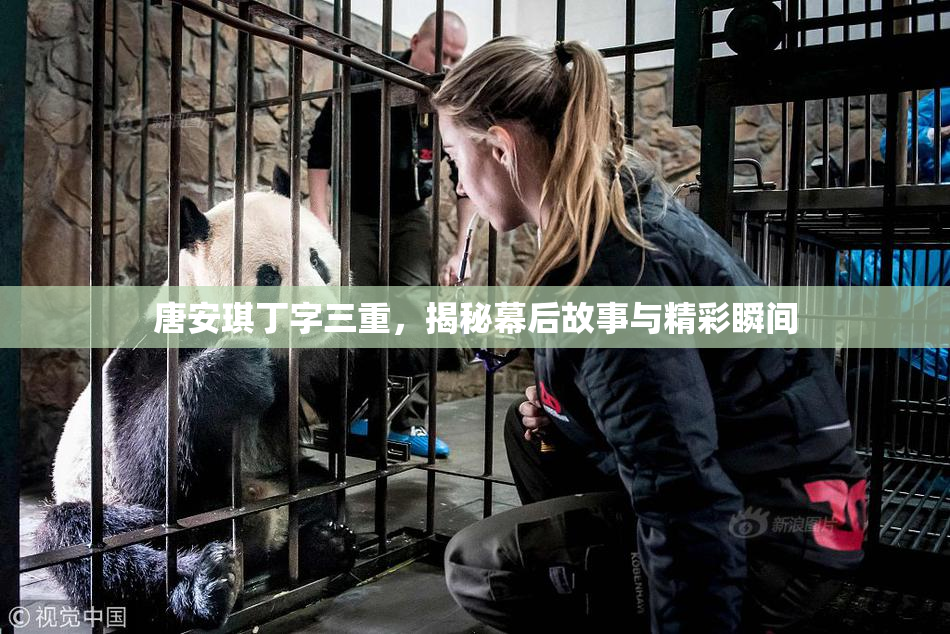 唐安琪丁字三重，揭秘幕后故事与精彩瞬间