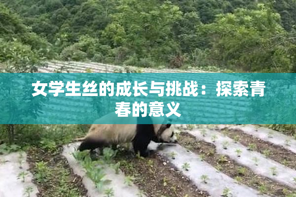 女学生丝的成长与挑战：探索青春的意义