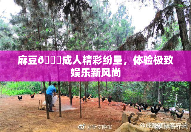 麻豆🔞成人精彩纷呈，体验极致娱乐新风尚