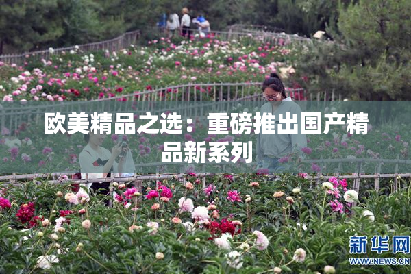 欧美精品之选：重磅推出国产精品新系列