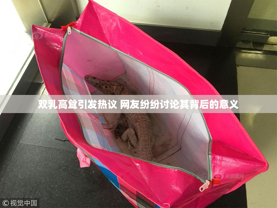 双乳高耸引发热议 网友纷纷讨论其背后的意义