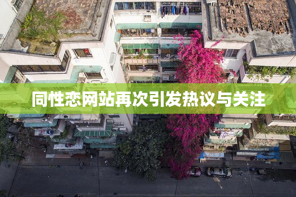 同性恋网站再次引发热议与关注