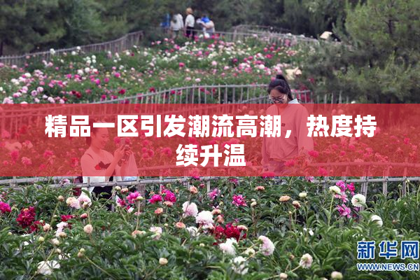 精品一区引发潮流高潮，热度持续升温