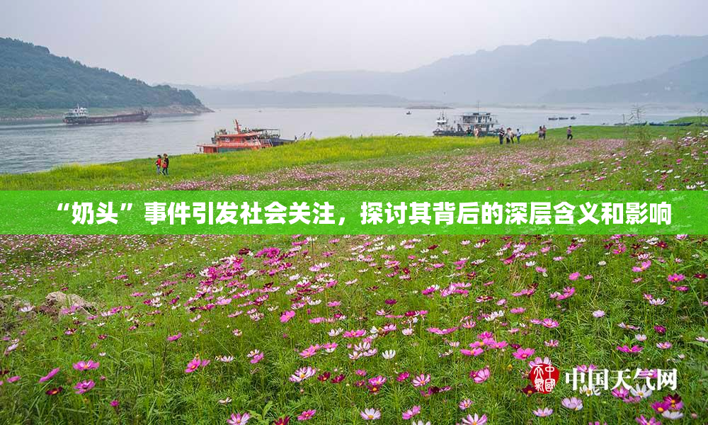 “奶头”事件引发社会关注，探讨其背后的深层含义和影响