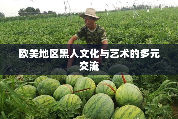 欧美地区黑人文化与艺术的多元交流