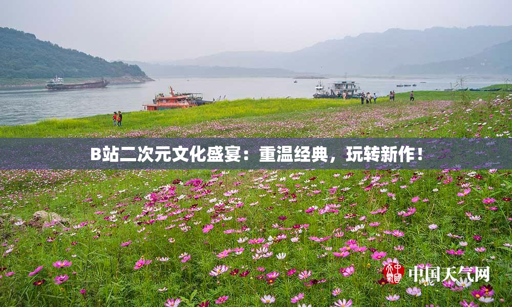 B站二次元文化盛宴：重温经典，玩转新作！