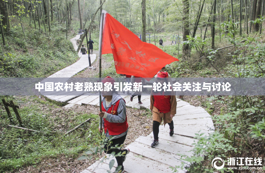 中国农村老熟现象引发新一轮社会关注与讨论