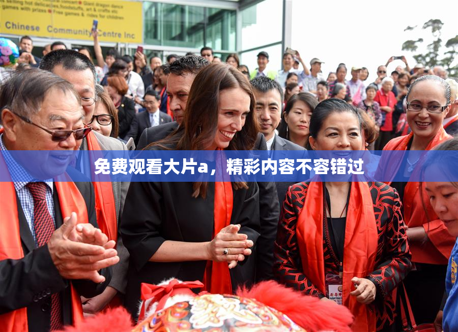 免费观看大片a，精彩内容不容错过