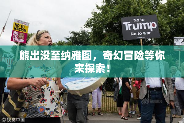 熊出没至纳雅图，奇幻冒险等你来探索！
