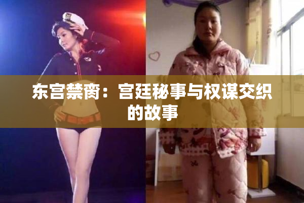 东宫禁脔：宫廷秘事与权谋交织的故事
