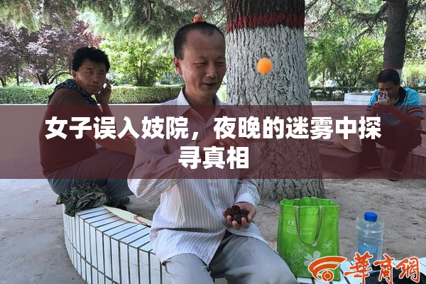 女子误入妓院，夜晚的迷雾中探寻真相