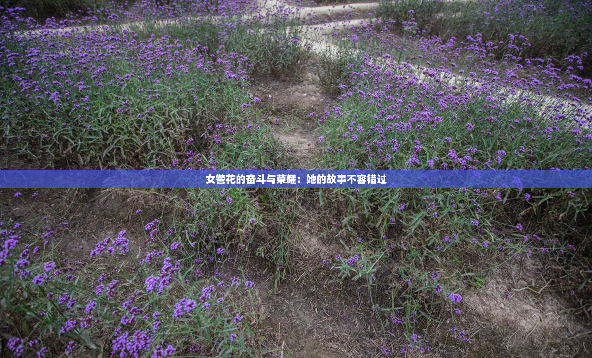 女警花的奋斗与荣耀：她的故事不容错过