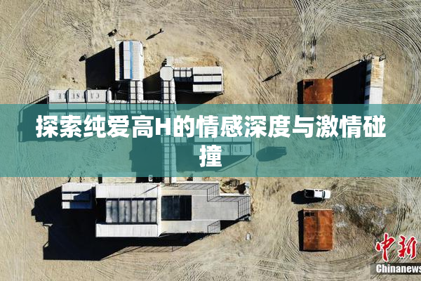 探索纯爱高H的情感深度与激情碰撞