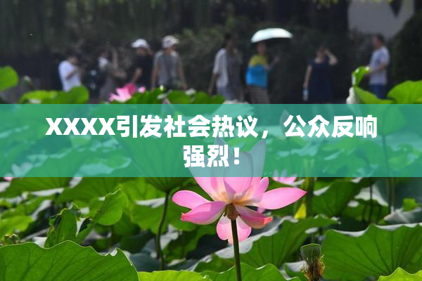 XXXX引发社会热议，公众反响强烈！