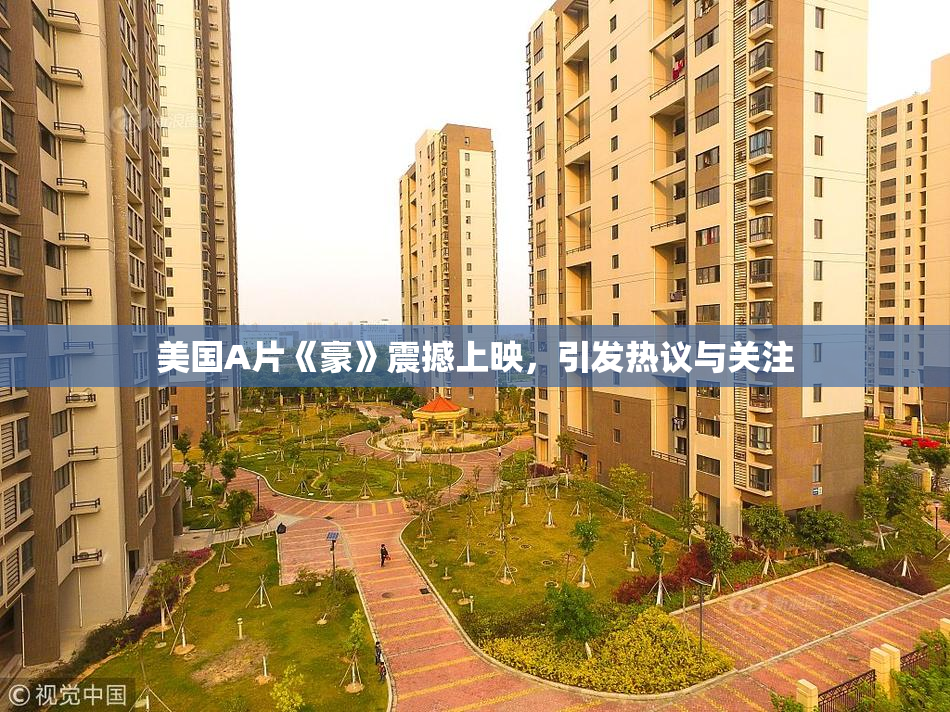 美国A片《豪》震撼上映，引发热议与关注